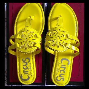 Circus by Sam Edelman Canyon Flat